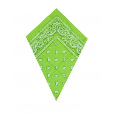Green Paisley Bandana Head Scarf Green Paisley Bandana Head Scarf