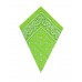 Green Paisley Bandana Head Scarf