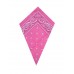 Pink Paisley Bandana Head Scarf